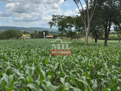 Fazenda/Sítio à venda, 500m² no , Guapó