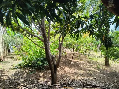Lote/Terreno à venda, 256m² no Cruz, Lorena