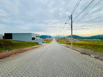 Lote/Terreno à venda, 451m² no Santa Terezinha, Gaspar