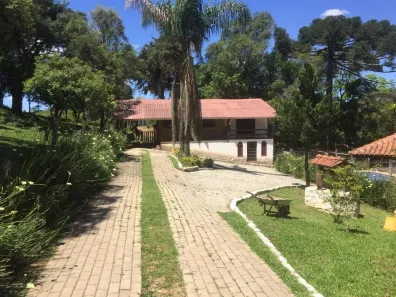 Fazenda/Sítio à venda, 11000m² no São Miguel, Almirante Tamandaré