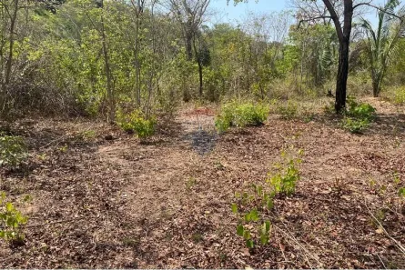Fazenda/Sítio com 1 Quarto à venda, 1000m² no Área Rural de Rondonópolis, Rondonópolis