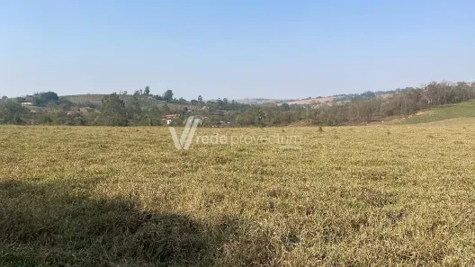 Fazenda/Sítio com 5 Quartos à venda, 300m² no Centro, Limeira