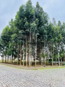 Lote/Terreno à venda, 12m² no Universitário, Bento Gonçalves
