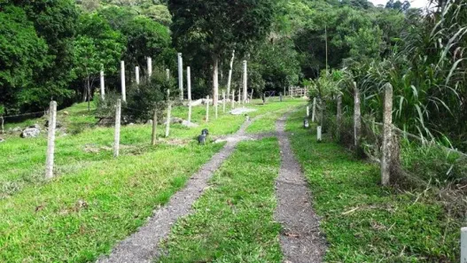 Fazenda/Sítio com 2 Quartos à venda, 160000m² no Forquilhas, São José