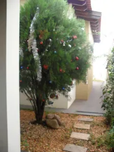 Casa com 3 Quartos à venda, 150m² no Vila Rocha, Bauru
