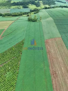 Fazenda/Sítio à venda, 72600m² no Centro, Santa Amélia