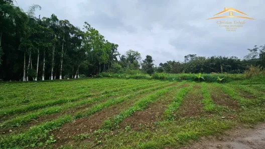 Lote/Terreno à venda, 3800m² no Vila Santo Antonio, Morretes