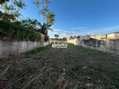 Lote/Terreno à venda, 484m² no Presidente Roosevelt, Uberlândia