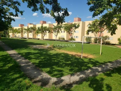 Apartamento com 2 Quartos para alugar, 49m² no Jardim Bela Vista, Campinas
