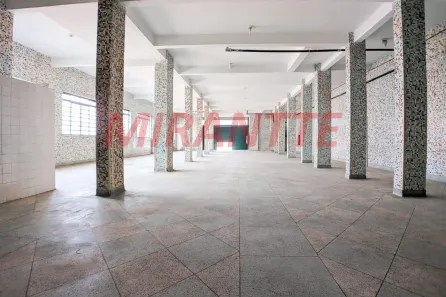 Imóvel Comercial à venda, 350m² no Vila São Geraldo, São Paulo