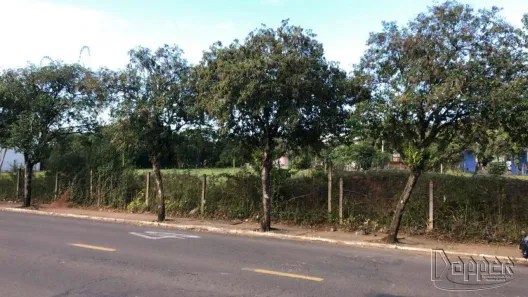 Lote/Terreno à venda no Parobé, Parobé