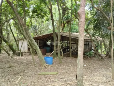 Fazenda/Sítio com 1 Quarto à venda, 180m² no Lomba Grande, Novo Hamburgo