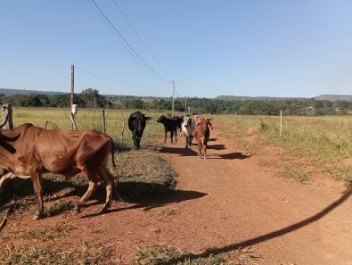 Fazenda/Sítio à venda, 20000m² no Jardim Lago Azul, Novo Gama
