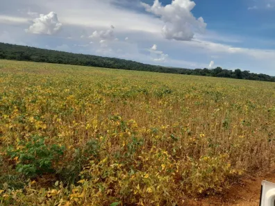 Fazenda/Sítio à venda, 9m² no , Ribeirãozinho