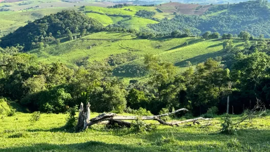 Fazenda/Sítio com 3 Quartos à venda, 1210000m² no , Ouro Fino