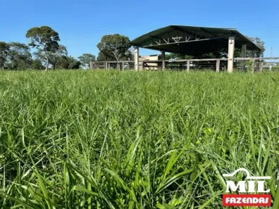 Fazenda/Sítio à venda, 1m² no , Jussara