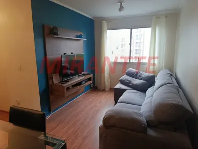 Apartamento com 2 Quartos à venda, 53m² no Vila Amélia, São Paulo