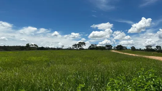 Lote/Terreno à venda, 20000m² no Boa Esperança, Curvelo