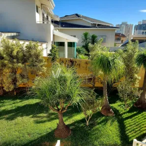 Imóvel Comercial com 4 Quartos para alugar, 357m² no Chácara Primavera, Campinas
