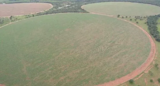 Fazenda/Sítio com 7 Quartos à venda, 7131m² no Área Rural de Paracatu, Paracatu