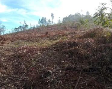 Fazenda/Sítio à venda, 3m² no , Tibagi