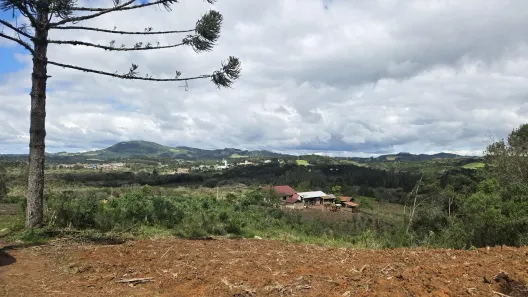 Lote/Terreno à venda, 56448m² no Bateias de Baixo, Campo Alegre