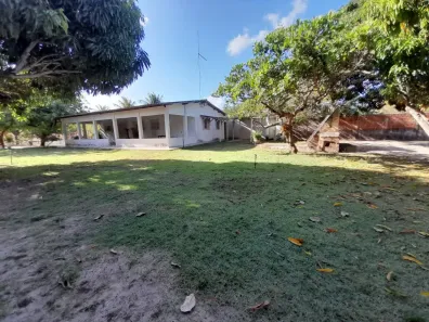 Fazenda/Sítio com 4 Quartos à venda, 4000m² no Manoel Alves de Souza, São José de Mipibu