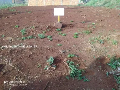 Lote/Terreno à venda, 252m² no Jardim Europa, Cambé