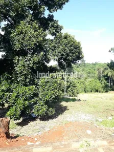 Lote/Terreno à venda, 10m² no Parque Jamaica, Londrina