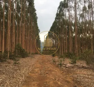 Fazenda/Sítio à venda, 19122m² no Centro, Montes Claros