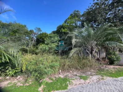 Lote/Terreno à venda, 450m² no Açu da Torre, Mata de São João