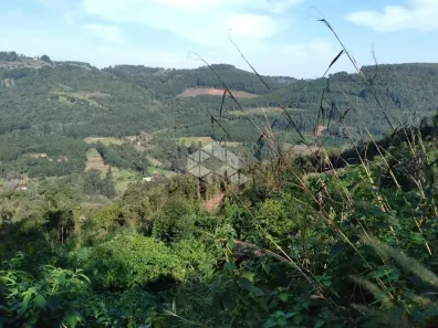 Fazenda/Sítio à venda, 30000m² no , Nova Petrópolis