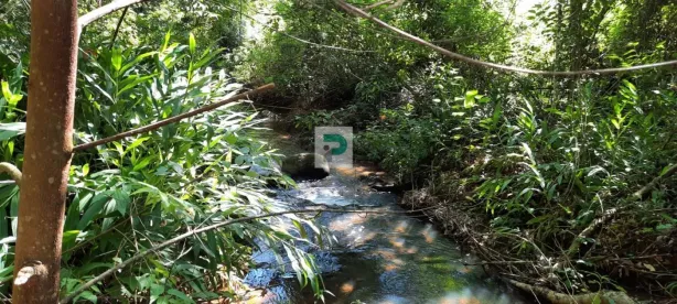 Lote/Terreno à venda, 21683m² no , Paraty