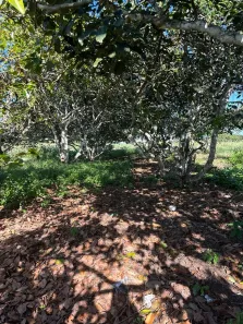 Fazenda/Sítio com 2 Quartos à venda, 7000m² no , Ubajara