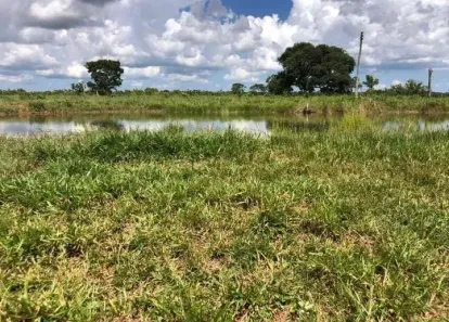 Fazenda/Sítio à venda, 1126000m² no Centro, Camapuã