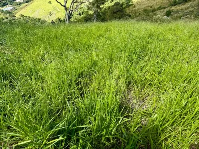 Lote/Terreno à venda, 5000m² no , Bom Repouso