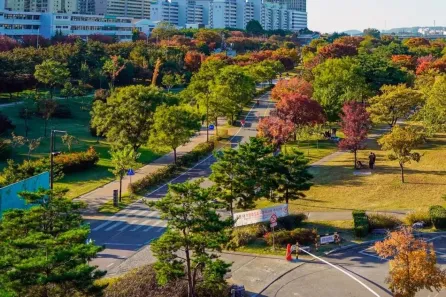 Lote/Terreno à venda, 250m² no Passagem da Conceição, Várzea Grande