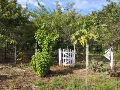 Lote/Terreno à venda, 1000m² no Conjunto Três Marcos, Londrina