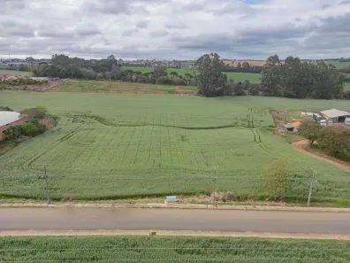 Lote/Terreno à venda, 80000m² no Chapada, Ponta Grossa