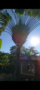 Fazenda/Sítio com 3 Quartos à venda, 180m² no Estância Navarrete (Zona Rural), São José do Rio Preto