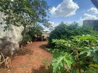 Lote/Terreno à venda, 250m² no Jardim Santa Helena, Jaú