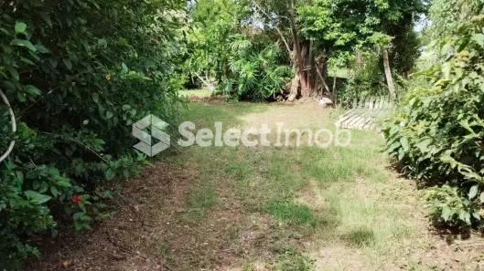 Fazenda/Sítio com 2 Quartos à venda, 3327m² no Área Rural de Cerquilho, Cerquilho