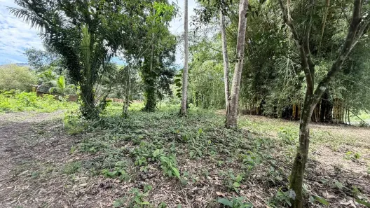Lote/Terreno à venda, 7000m² no Área Rural de Cachoeiras de Macacu, Cachoeiras de Macacu