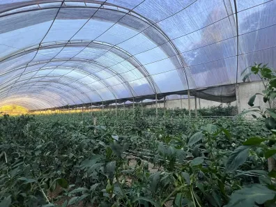 Fazenda/Sítio à venda, 51000m² no , Mulungu