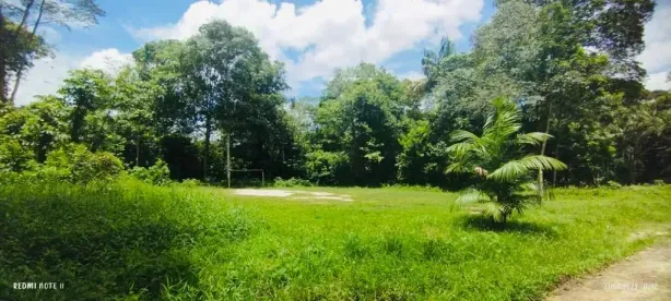 Lote/Terreno à venda, 16000m² no CANUTAMA, Benevides