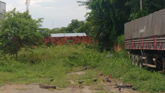 Lote/Terreno à venda, 1500m² no Novo Israel, Manaus
