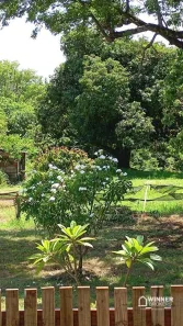 Fazenda/Sítio com 2 Quartos à venda, 130m² no , Marialva
