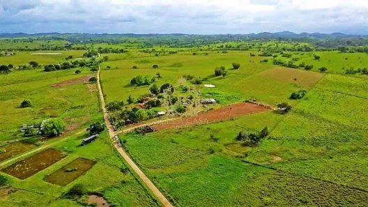 Fazenda/Sítio com 1 Quarto à venda, 443m² no São Vicente de Paula, Araruama