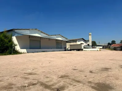 Galpão/Depósito/Armazém para alugar, 1660m² no Rio Pequeno, São José dos Pinhais