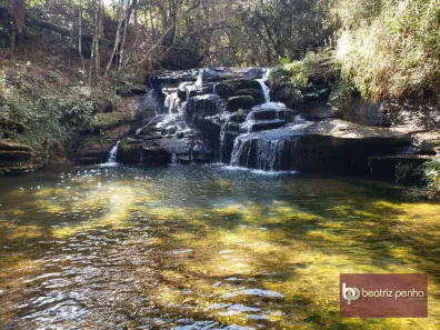 Fazenda/Sítio à venda, 730000m² no Zona Rural, Capitólio